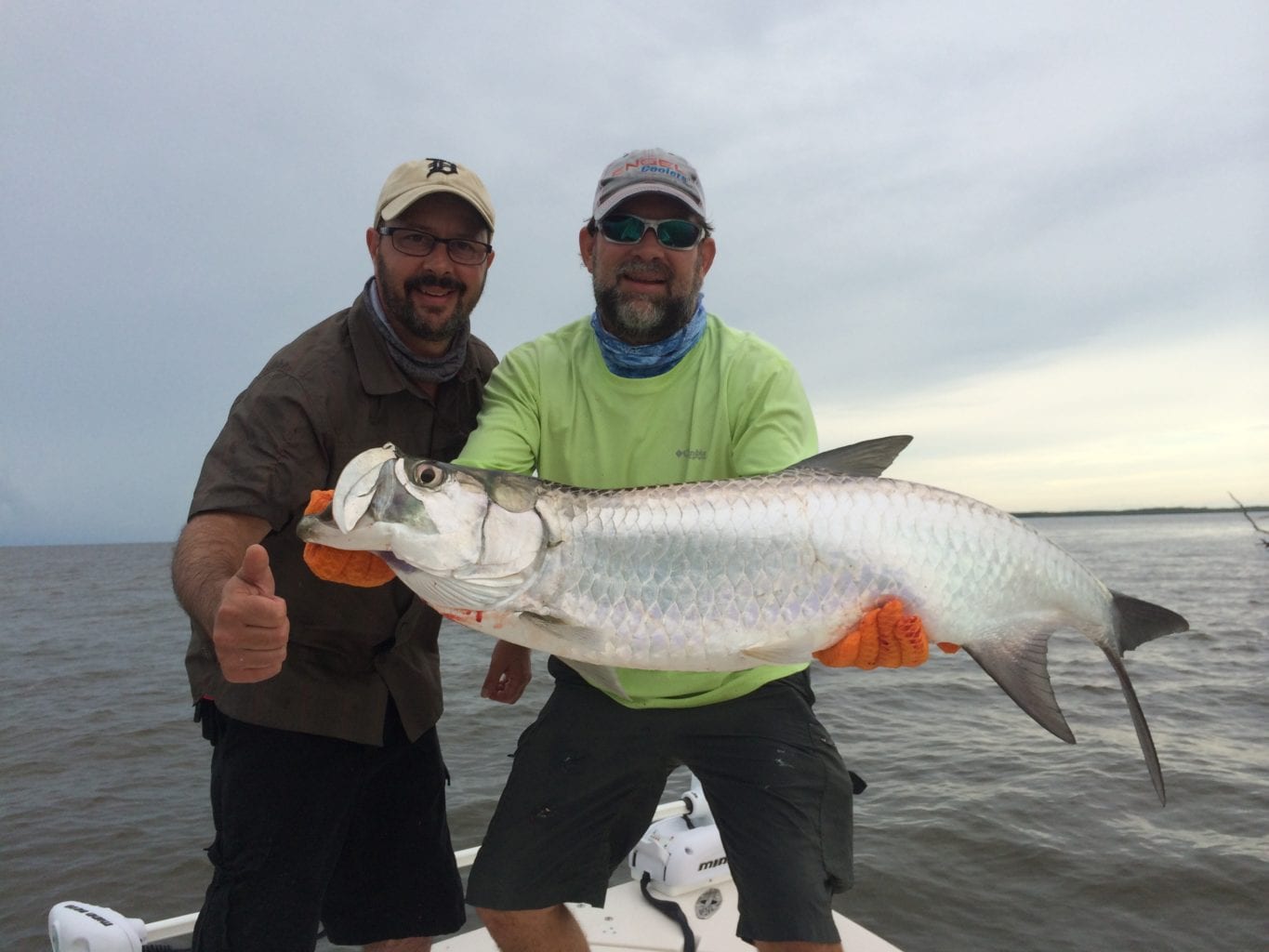 Everglades Park Tarpon