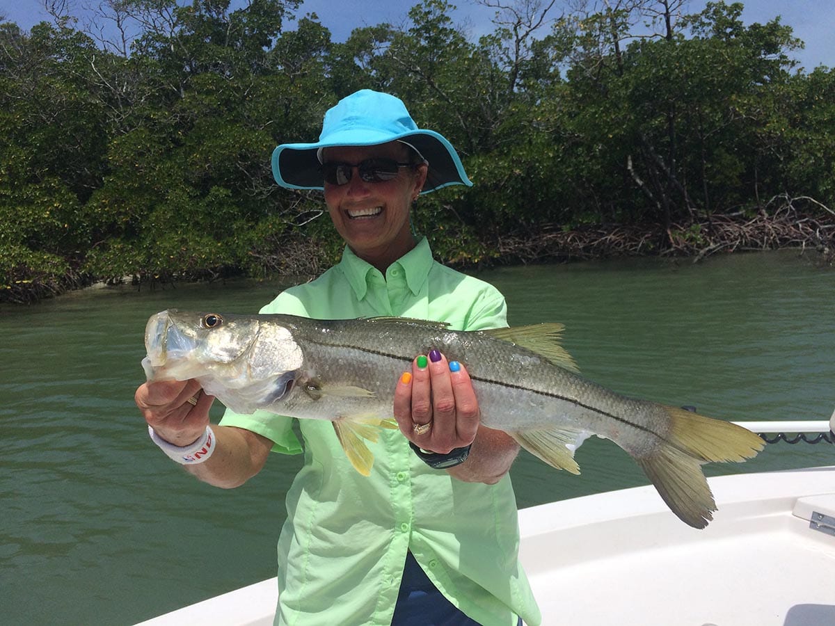 Everglades Snook