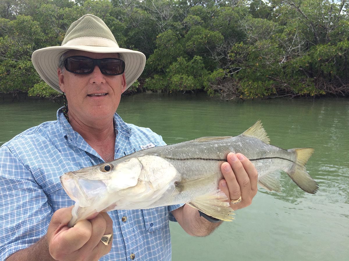 Florida Snook Fishing » Divine Naples