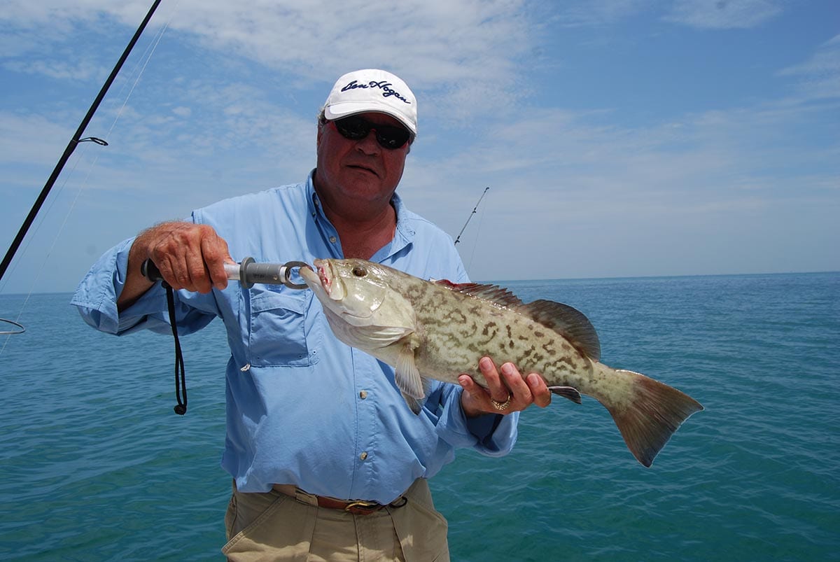 Naples Nearshore Grouper