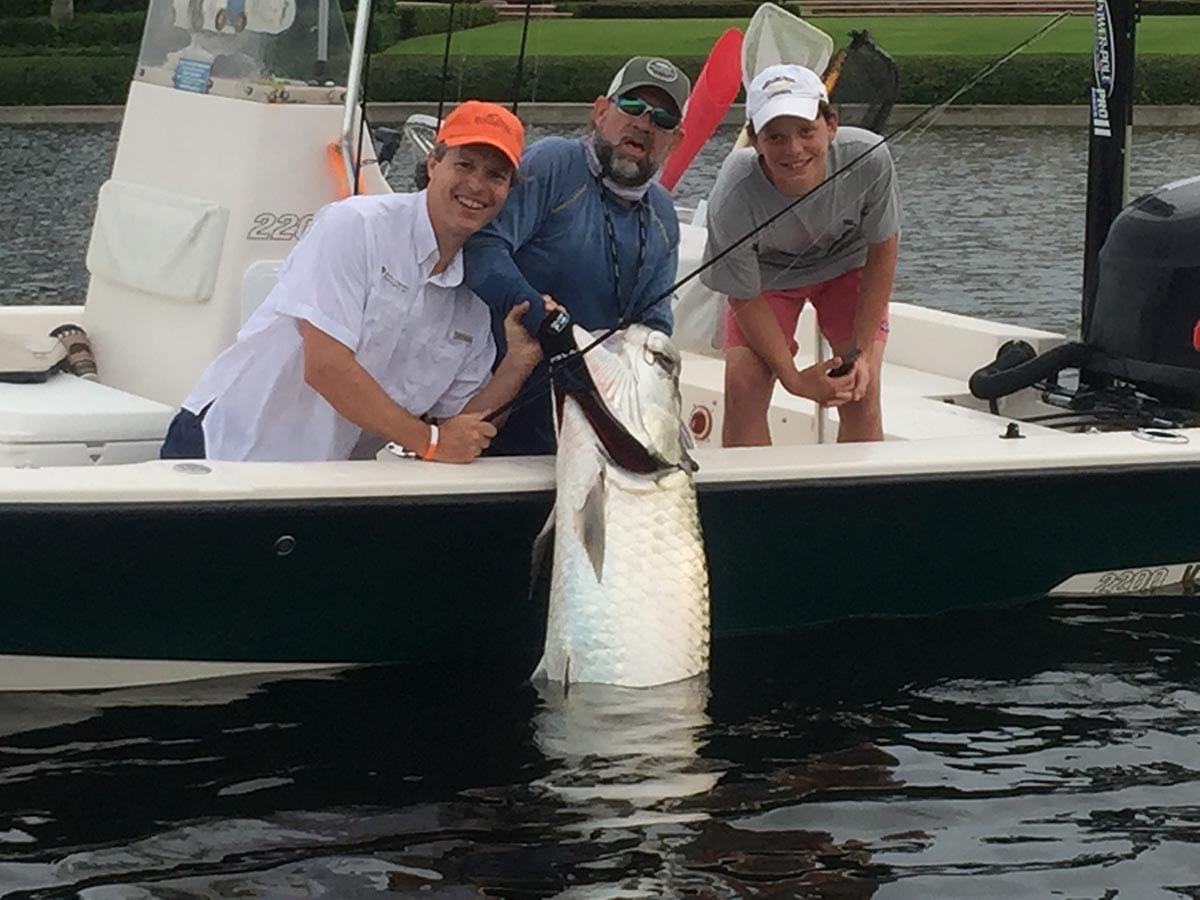 Everglades Tarpon