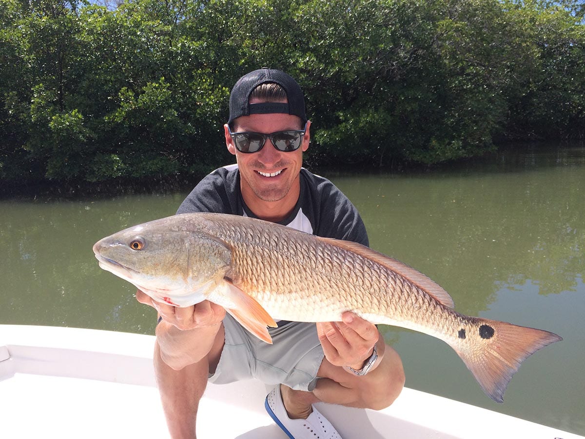 Everglades Redfish