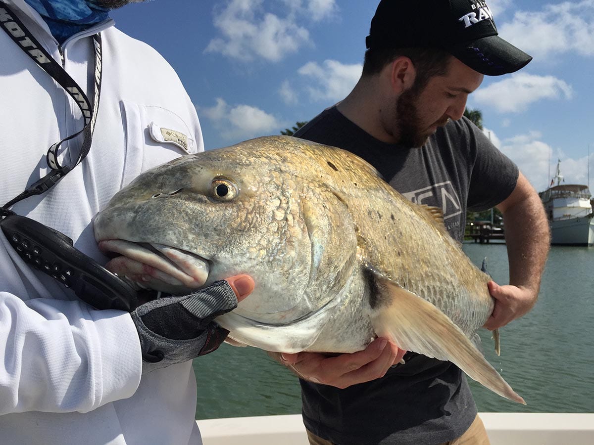 Marco Island Fishing