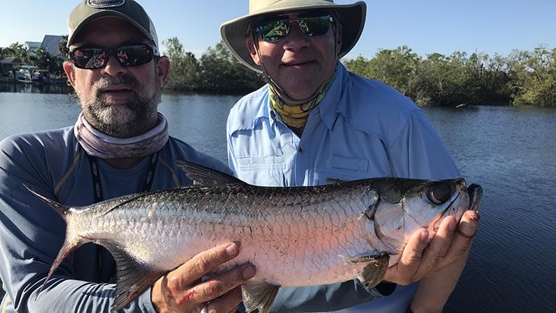 Marco Island Tarpon Fishing