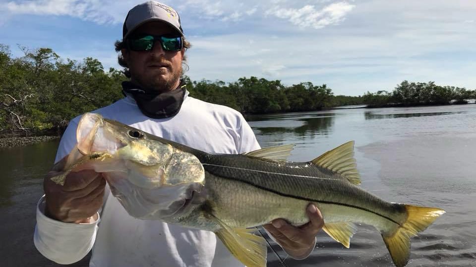 Florida Snook Fishing » Divine Naples