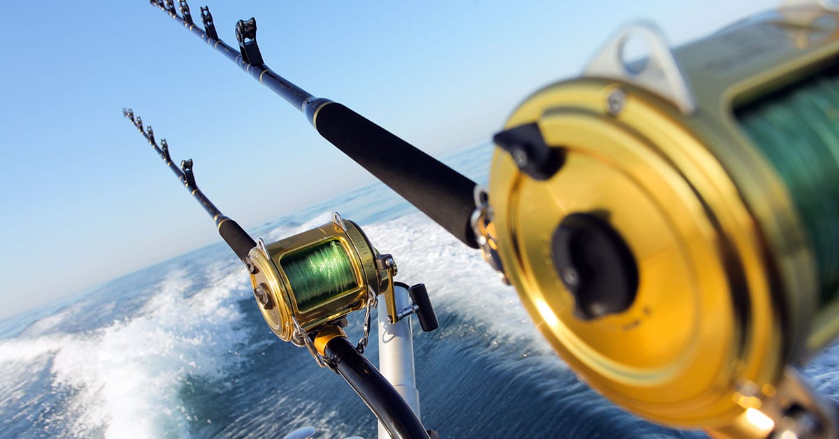 naples offshore fishing charters