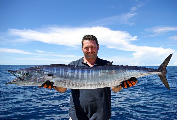 Naples Wahoo