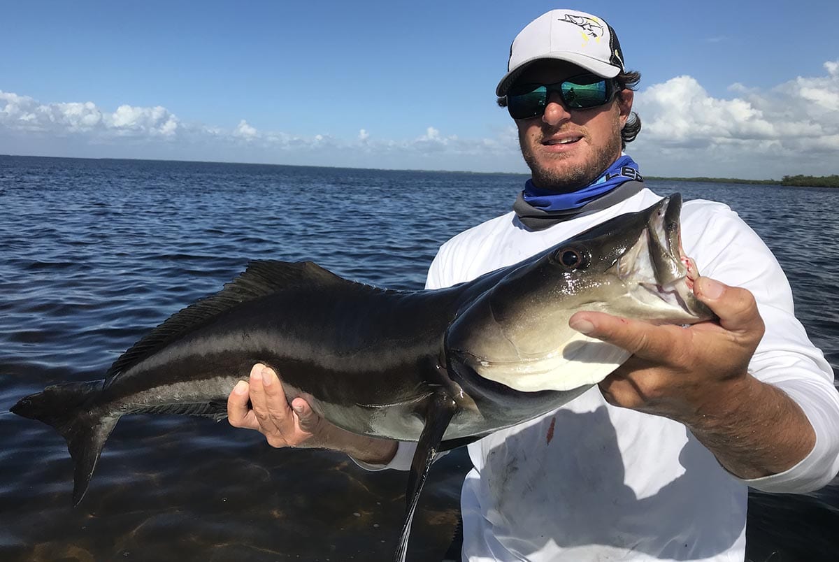 Naples nearshore pelagic